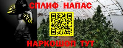 прущие крисы Севастополь