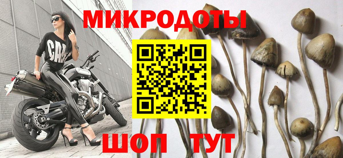 Галлюциногенные грибы Magic Shrooms  Вход с VPN  Галлюциногенные грибы прущие грибы  Орёл 