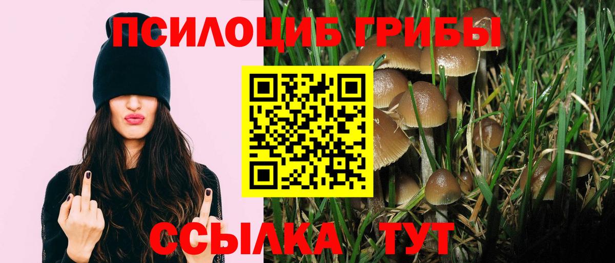 Галлюциногенные грибы Magic Shrooms Орёл